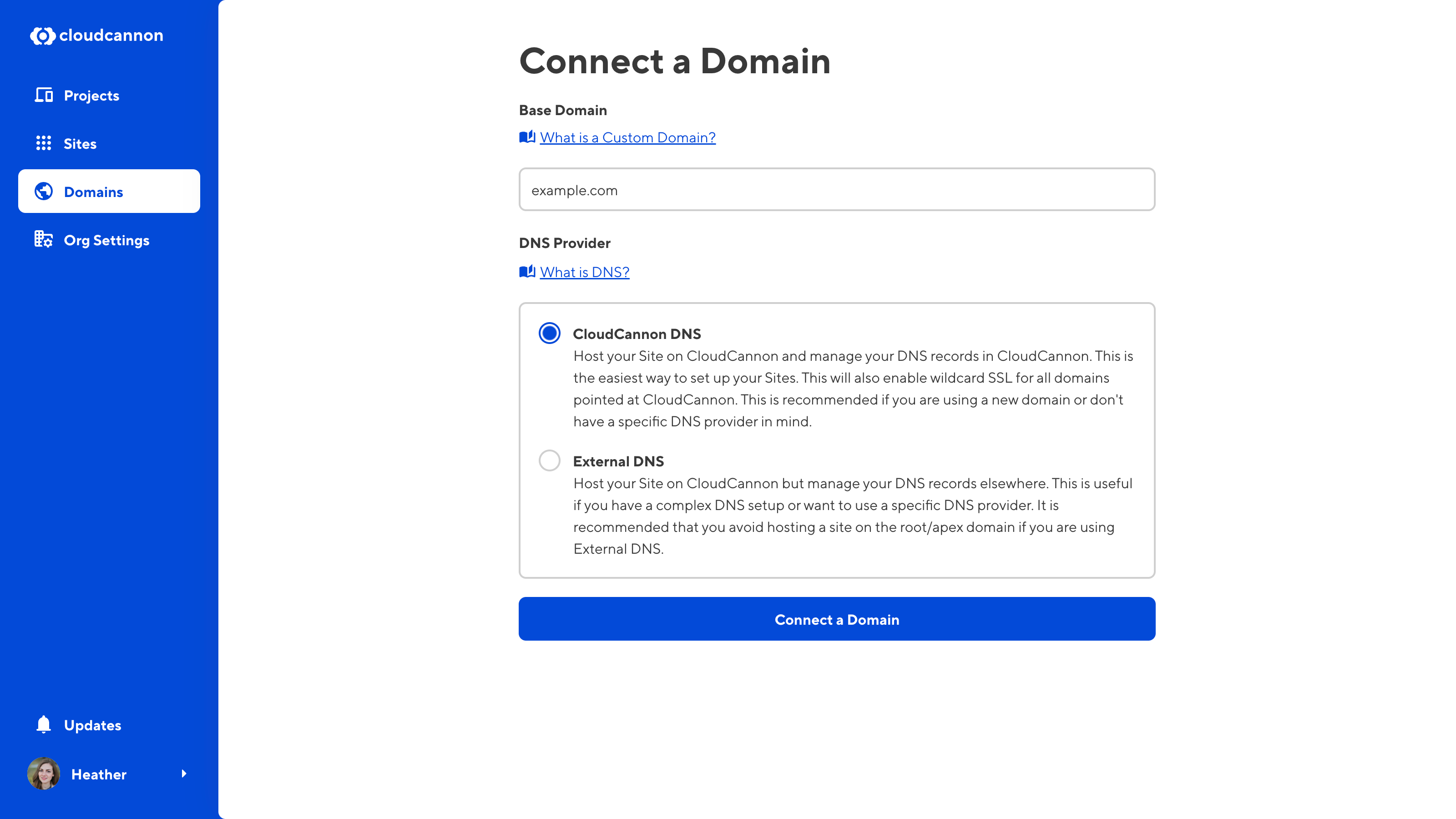 A screenshot of the Connect a Domain page shows a text field for your domain name and radio buttons to select your DNS Provider.